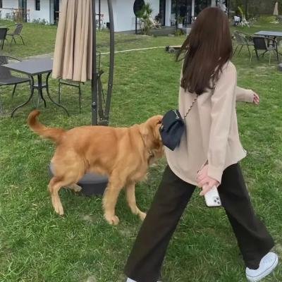 拜托了,花戎少女